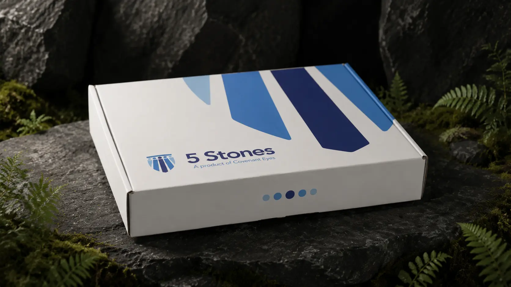 The closed 5 Stones kit box, white with layered blue stripes and the 5 Stones mark, lit on dark stone.
